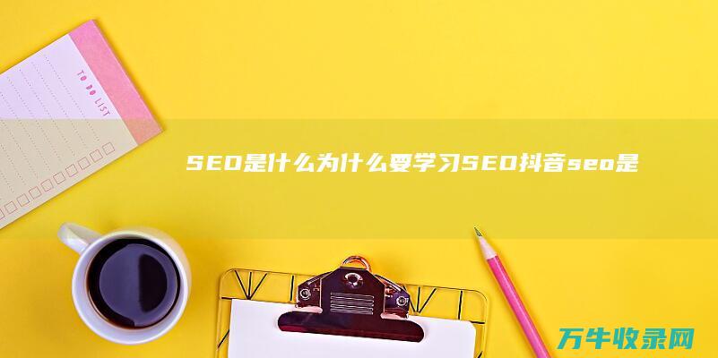 SEO是什么 为什么要学习SEO (抖音seo是什么)