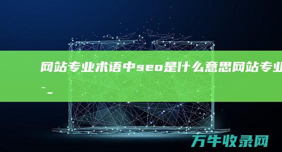 网站专业术语中seo是什么意思 (网站专业术语,pv指什么)