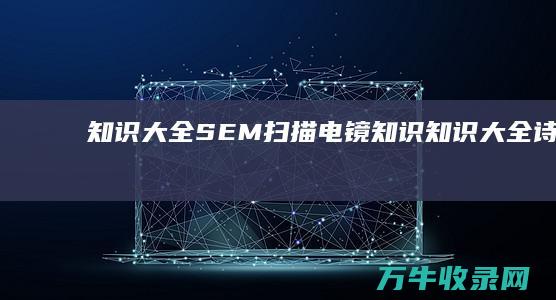 知识大全 SEM 扫描电镜 知识 (知识大全诗经篇)