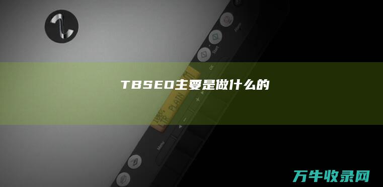 TBSEO主要是做什么的