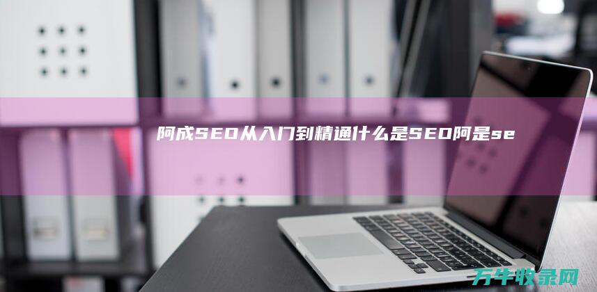 阿成 SEO从入门到精通 什么是SEO (阿是seo)